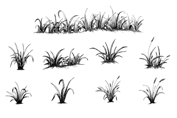 Download Hand Drawn Grass Illustration - Illustration Collection