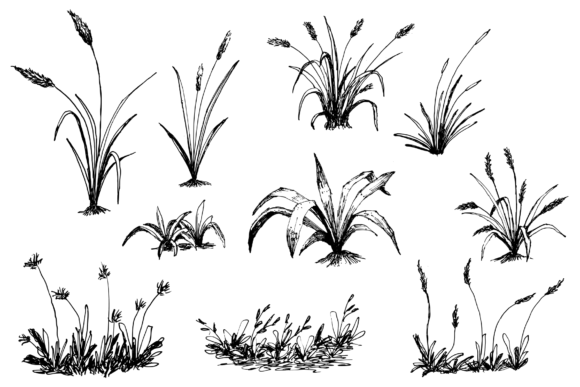 Download Hand Drawing Grass Illustration Set - Illustration Collection